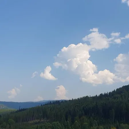 Wasza Dom Na Wylacznosc *