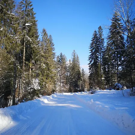 Wasza Dom Na Wylacznosc 别墅