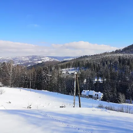 Villa Wasza Dom Na Wylacznosc Wisła