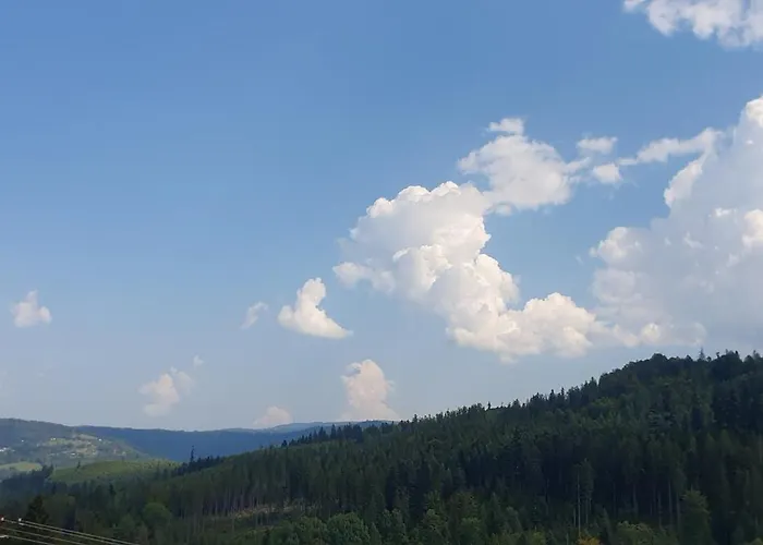 Wasza Dom Na Wylacznosc *