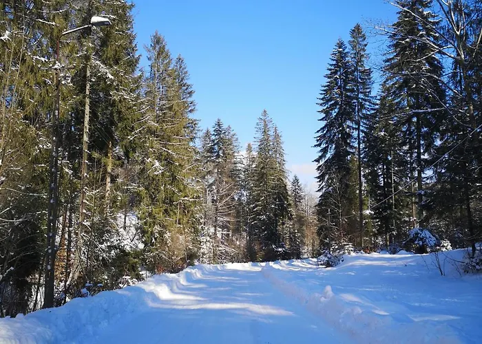 Wasza Dom Na Wylacznosc וילה